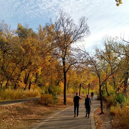 Lake Harriet, Minneapolis Photo #2 by Joe Passe from flickr