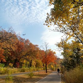 Lake Harriet, Minneapolis Photo #3 by Joe Passe from flickr