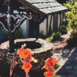 Laguna Beach, Long Beach Photo #5 by Kevin Dooley from flickr