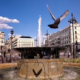 Puerta Del Sol, Madrid Photo #2 by Esteban Palacios Blanco from flickr