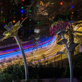 San Antonio River Walk, San Antonio Photo #6 by Corey Leopold from flickr