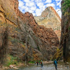 The Narrows, Zion National Park Photo #8 by Terry Ott from flickr