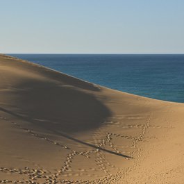 Tottori Sand Dunes, Tottori Photo #7 by Raita Futo from flickr