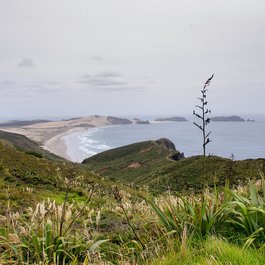 Tasman Peninsula, Tasmania Photo #7 by Jan Helebrant from flickr