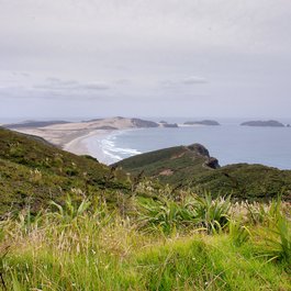 Tasman Peninsula, Tasmania Photo #4 by Jan Helebrant from flickr