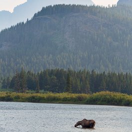 Grinnell Glacier, Glacier National Park Photo #6 by Andrew Parlette from flickr