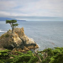 Monterey itinerary, Lone Cypress