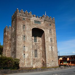Bunratty Castle & Folk Park, Western Ireland Photo #3 by John Menard from flickr