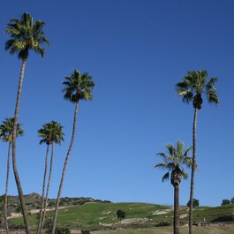 San Diego Zoo Safari Park, San Diego Photo #2 by Kari from flickr