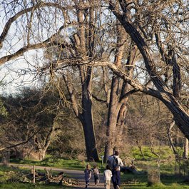 American River, Sacramento Photo #4 by Robert Couse-Baker from flickr