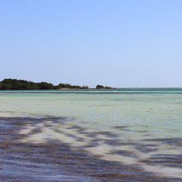 Bahia Honda State Park, Key West Photo #5 by Thomas Conté from flickr