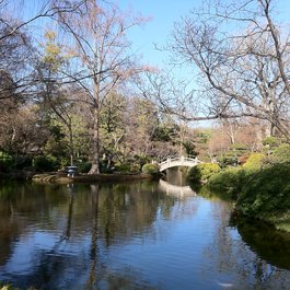 Fort Worth Botanic Garden, Fort Worth Photo #5 by Brad Holt from flickr