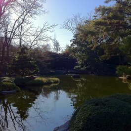 Fort Worth Botanic Garden, Fort Worth Photo #7 by Brad Holt from flickr