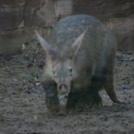 Blackpool Zoo, Blackpool Photo #7 by Neil Turner from flickr