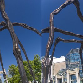 National Gallery Of Canada, Ottawa Photo #6 by John Talbot from flickr