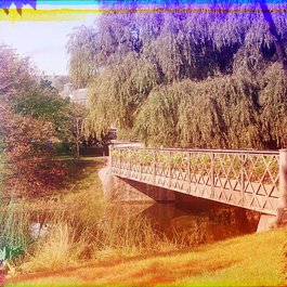 Botanical Garden, Copenhagen Photo #4 by Jüri T. from flickr
