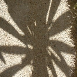 San José Del Cabo, Mexico Photo #2 by minnemom from flickr