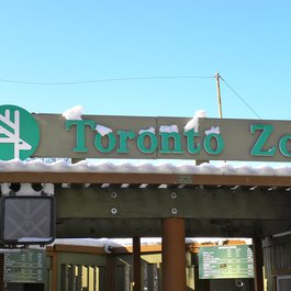 Toronto Zoo, Toronto Photo #5 by JasonParis from flickr