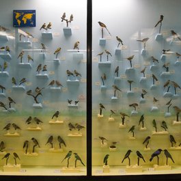 Bulgaria itinerary, National Museum Of Natural History