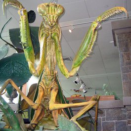 Pacific Science Center, Seattle Photo #2 by oddharmonic from flickr