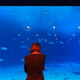 Georgia Aquarium, Atlanta Photo #7 by Rian Castillo from flickr