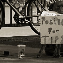 Portland Saturday Market, Portland Photo #4 by Ian Sane from flickr