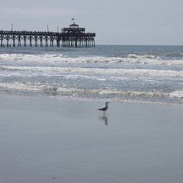 Cherry Grove, Myrtle Beach Photo #3 by Chris Meller from flickr