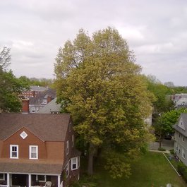Ladd Observatory, Providence Photo #5 by Ladd Observatory from flickr