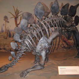 Royal Tyrrell Museum, Drumheller Photo #2 by Antony Stanley from flickr