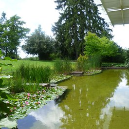 Fondation Beyeler, Basel Photo #9 by Rosmarie Voegtli from flickr