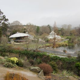 Dunedin Botanic Garden, Dunedin Photo #8 by Huhnbeauftragter from flickr