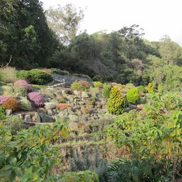 Dunedin Botanic Garden, Dunedin Photo #9 by Huhnbeauftragter from flickr