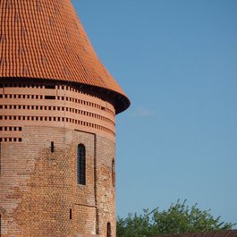 Kaunas Castle, Kaunas Photo #3 by Ruben Holthuijsen from flickr
