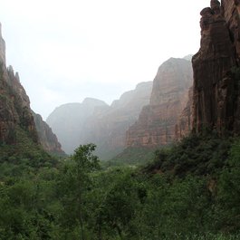 Weeping Rock, Zion National Park Photo #9 by daveynin from flickr