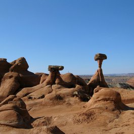 Toadstool Hoodoos, Zion National Park Photo #1 by daveynin from flickr