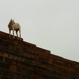 Agra itinerary, Buland Darwaza