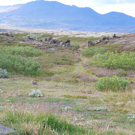 Thingvellir, South Iceland Photo #7 by mike from flickr