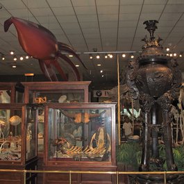 Milwaukee Public Museum, Milwaukee Photo #7 by Ed Bierman from flickr