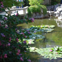 Lan Su Chinese Garden, Portland Photo #6 by Jeff Hart from flickr