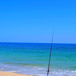 Fenwick Island, Delaware Photo #7 by Lee Cannon from flickr
