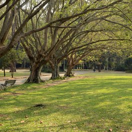 Parque Ibirapuera, Sao Paulo Photo #9 by Rodrigo Soldon from flickr