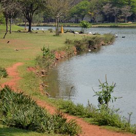 Parque Ibirapuera, Sao Paulo Photo #6 by Rodrigo Soldon from flickr