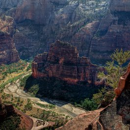 Scout Lookout, Zion National Park Photo #2 by Ed Coyle from flickr