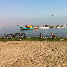 Paracas, Ica Photo #9 by Patty Ho from flickr