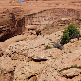 Upper Delicate Arch Viewpoint, Canyonlands National Park Photo #8 by Roy Luck from flickr