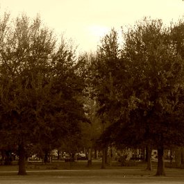 Riverside Park, Jacksonville Photo #9 by Erin Murphy from flickr