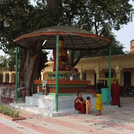 Sarnath, Varanasi Photo #6 by Aleksandr Zykov from flickr