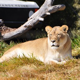 San Diego Zoo Safari Park, San Diego Photo #7 by Ted from flickr