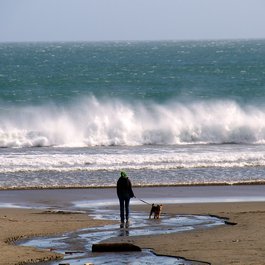 Drakes Beach, Santa Rosa Photo #9 by Don DeBold from flickr
