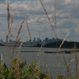 Boston, United States Photo #8 by Steven Isaacson from flickr